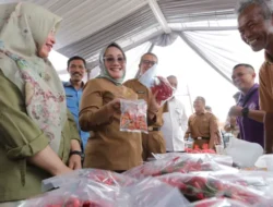 GPM Permudah Akses Pangan dengan Harga Terjangkau