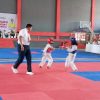 Taekwondo Kabupaten Cirebon Sukses Gelar Kejuaraan Merdeka Championship