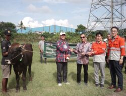 Cirebon Power Bagikan Puluhan Hewan Kurban