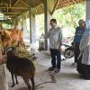 Herman Khaeron dan Ratnawati Bagikan Kurban di Sejumlah Daerah