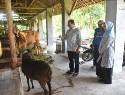 Herman Khaeron dan Ratnawati Bagikan Kurban di Sejumlah Daerah