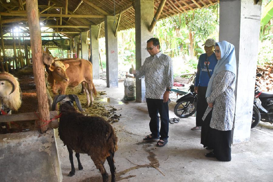 Herman Khaeron dan Ratnawati Bagikan Kurban di Sejumlah Daerah