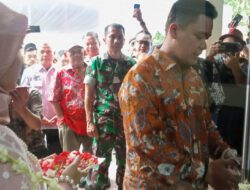 Macan Ali Mustika Nuswantara Solusi Kebutuhan Outsourcing Indonesia