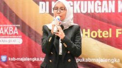 Menyambut Pilkada Serentak 2024