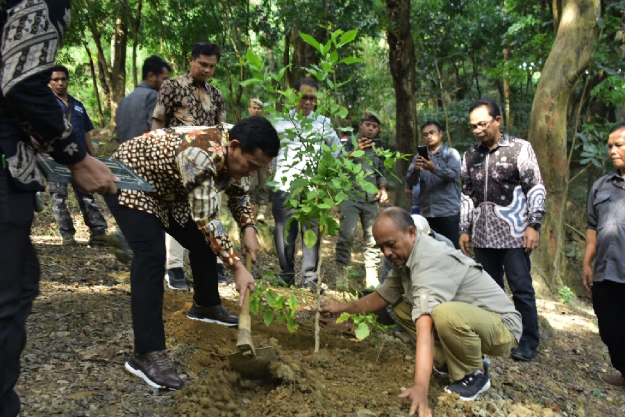 Pj Bupati Dedi Supandi Ajak Warga Berkebun Sejak Dini
