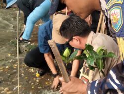 Penanaman 10 Ribu Mangrove, Upaya Jaga Ekosistem Pantai