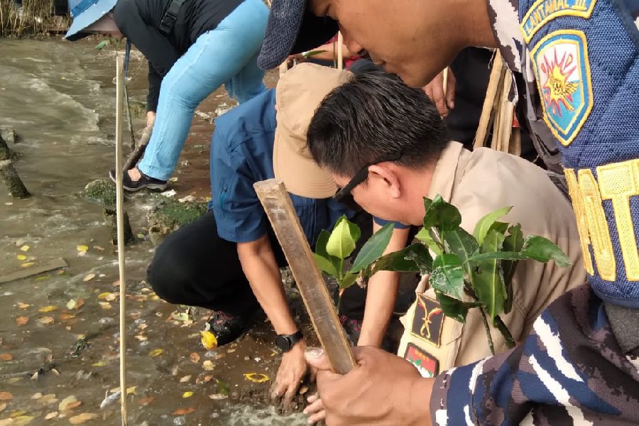 Penanaman 10 Ribu Mangrove, Upaya Jaga Ekosistem Pantai