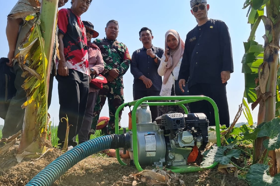 DKPP Indramayu Gerak Cepat Atasi Kekeringan Area Persawahan