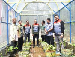 Pertamina Patra Niaga SHAFTHI Luncurkan Greenhouse Sirih
