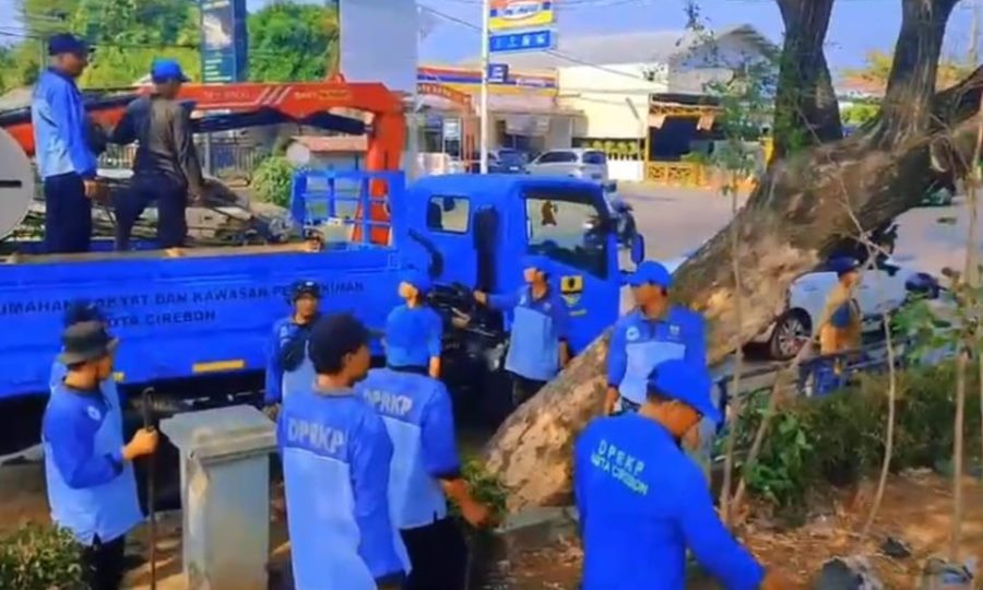 DPRKP Perindah Lima Taman Utama di Kota Cirebon