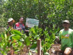 Lestarikan Bangau Bluwok, Pertamina Patra Niaga RJBB Tanam 3.750 Mangrove