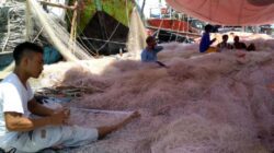 Produksi Ikan Indramayu Jadi yang Terbanyak di Jawa Barat