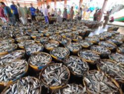 Revitalisasi Tambak, Upaya Pemkab Indramayu Wujudkan Sektor Perikanan Berkelanjutan