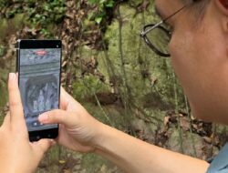 Bikin Konten Traveling Makin Asyik Pakai Galaxy S25 Ultra