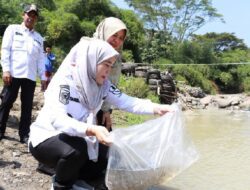 Pemkot Cirebon Tebar 85 Ribu Benih Ikan di Kalijaga