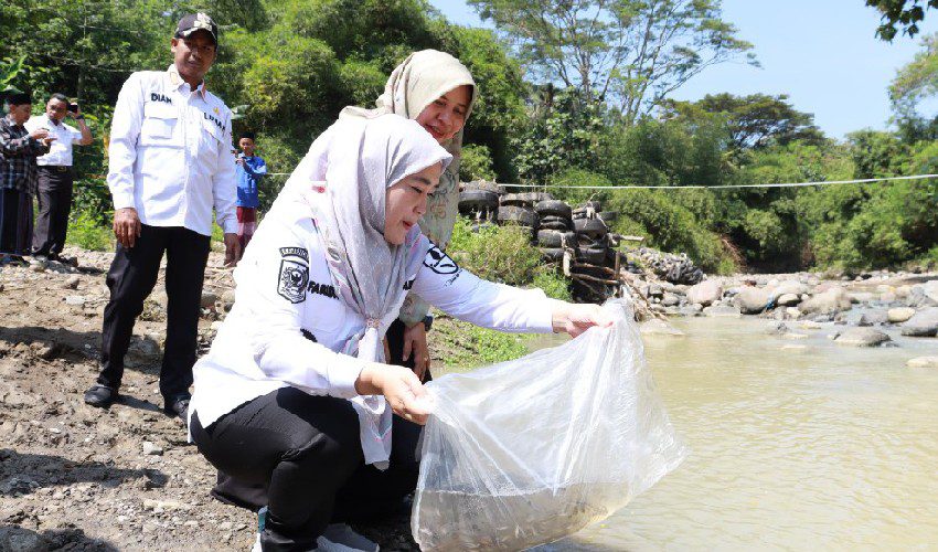 Pemkot Cirebon Tebar 85 Ribu Benih Ikan di Kalijaga