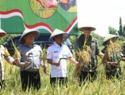 Panen Raya Serentak, Andrie Sulistio Puji Komitmen Prabowo Bangun Pertanian