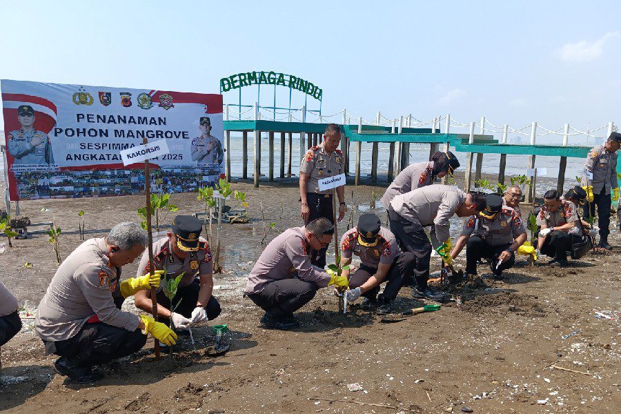 Sespimma Polri Tanam 100 Bibit Mangrove dan Salurkan Bantuan di Cirebon