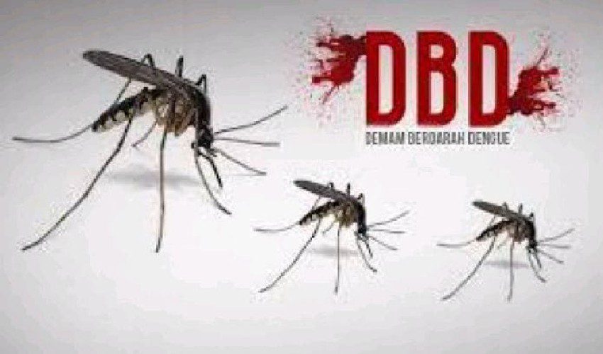 Wabah DBD Ancam Desa Astana, Warga Desak Pemerintah Lakukan Fogging