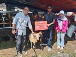 Alfamart bersama IWO Jawa Barat Salurkan Kurban untuk Warga Indramayu
