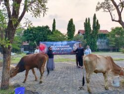 CSB Mall Bagikan Dua Ekor Sapi Kurban untuk Warga Sekitar