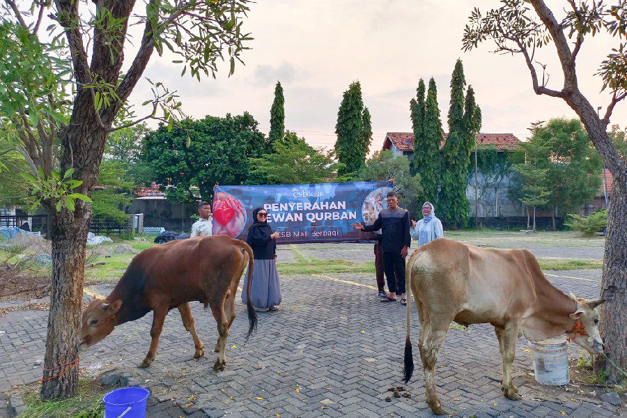CSB Mall Bagikan Dua Ekor Sapi Kurban untuk Warga Sekitar