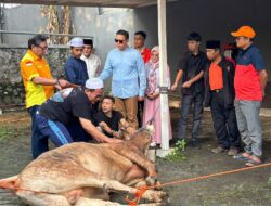 Dave Laksono: Kurban Wujud Nyata Kepedulian Sosial