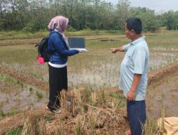 Pengelolaan Data dengan Metode Poligonisasi, Solusi Cerdas untuk Pertanian Modern