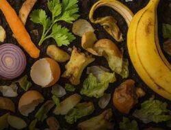 Benarkah Sampah Organik Aman Dibuang ke Tanah? Ini Faktanya