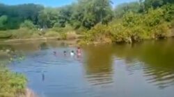 DLH Kota Cirebon Dorong Pelestarian Mangrove untuk Ekonomi Hijau Berkelanjutan