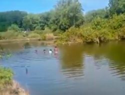 DLH Kota Cirebon Dorong Pelestarian Mangrove untuk Ekonomi Hijau Berkelanjutan