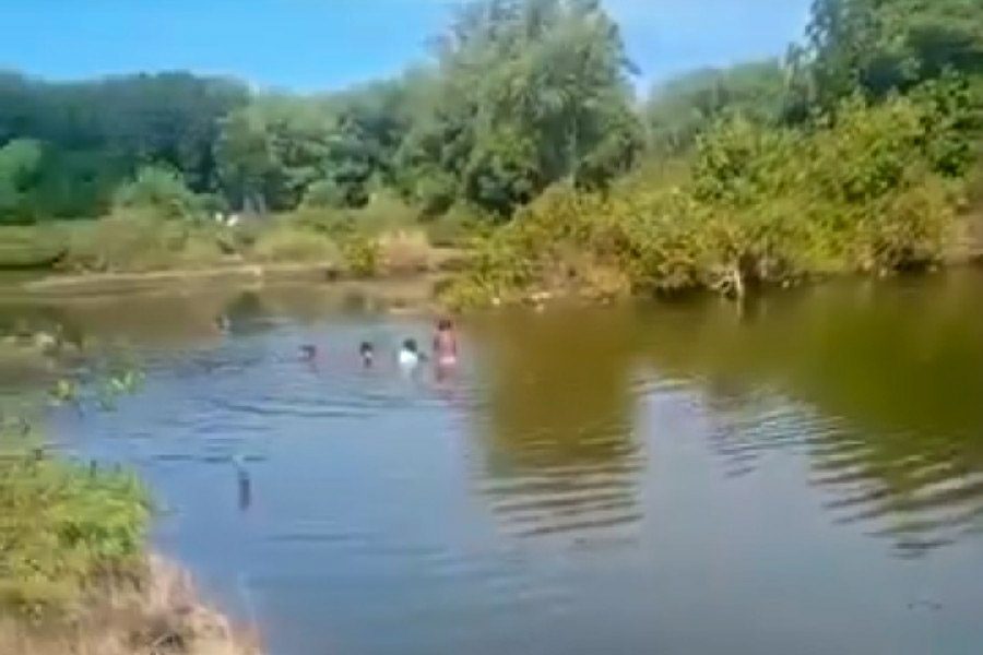 DLH Kota Cirebon Dorong Pelestarian Mangrove untuk Ekonomi Hijau Berkelanjutan