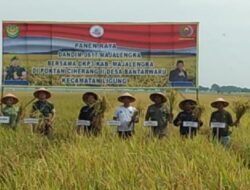 Petani Majalengka Sambut Gembira Penurunan Harga Pupuk Subsidi