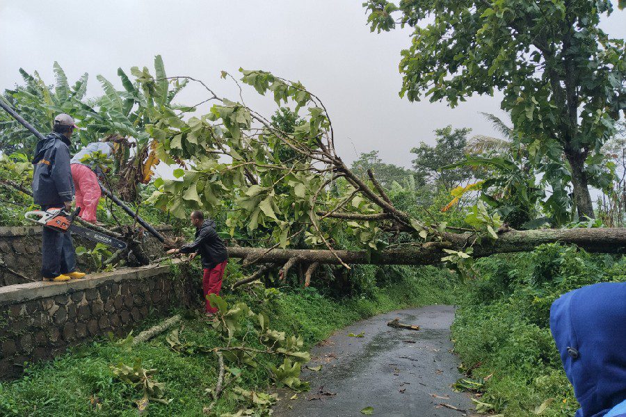 Hujan Lebat Picu 26 Bencana di Majalengka, Ratusan Hektare Sawah Terendam