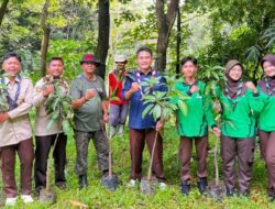 Perkuat Kepedulian Lingkungan, Pramuka Majalengka Tanam Pohon di Buper Sindangkasih