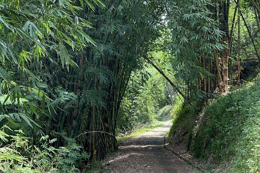 Rambut Sewu, Ritual Kuno Jawa Penolak Pagebluk