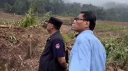 Sebanyak 25 Rumah Terdampak Bencana Tanah Bergerak di Sukadana