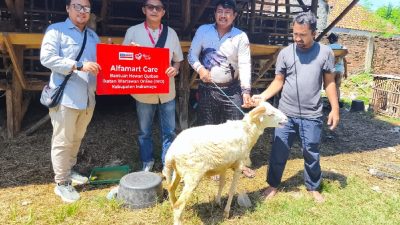 Alfamart dan IWO Jawa Barat Tebar Kepedulian lewat Daging Kurban Alfamart dan IWO Jawa Barat Tebar Kepedulian lewat program kurban