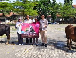 Momentum Iduladha, CSB Mall Cirebon Salurkan Hewan Kurban untuk Dhuafa