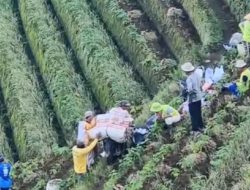 Sentra Bawang Merah Panyaweuyan Majalengka Panen Hingga 120 Ton