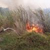 Karhutla Majalengka Meluas, BPBD Catat 12 Kebakaran dalam 10 Hari