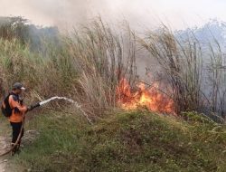 Karhutla Majalengka Meluas, BPBD Catat 12 Kebakaran dalam 10 Hari