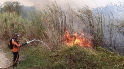 Karhutla Majalengka Meluas, BPBD Catat 12 Kebakaran dalam 10 Hari Karhutla Majalengka Meluas, BPBD Catat 12 Kebakaran dalam 10 Hari