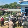 Kekeringan Majalengka, Bupati Eman Soroti Sawah Gagal Panen di Jatitujuh