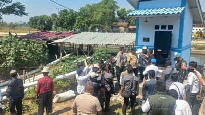 Kekeringan Majalengka, Bupati Eman Soroti Sawah Gagal Panen di Jatitujuh