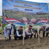 Majalengka Kembangkan Bawang Putih untuk Dukung Swasembada Nasional