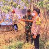 Kandang Kambing Terbakar, Puluhan Ternak Mati