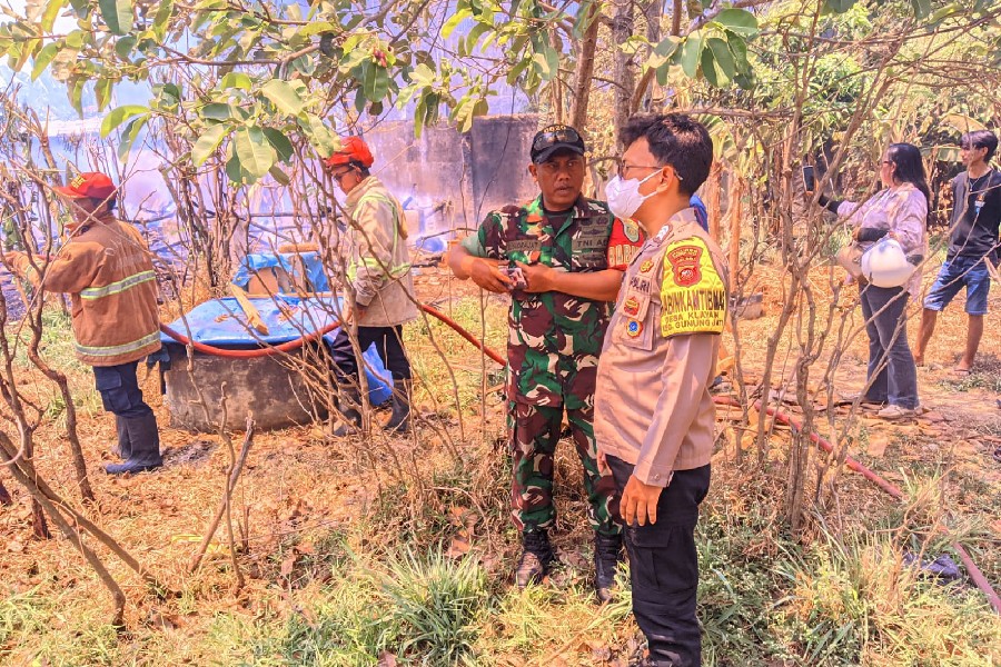 Kandang Kambing Terbakar, Puluhan Ternak Mati