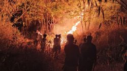 Kebakaran Lahan di Gunung Margatapa Majalengka Meluas hingga 1,5 Hektare
