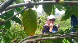 Kopi Buana Ciremai dan Jalan Menuju Pasar Ekspor